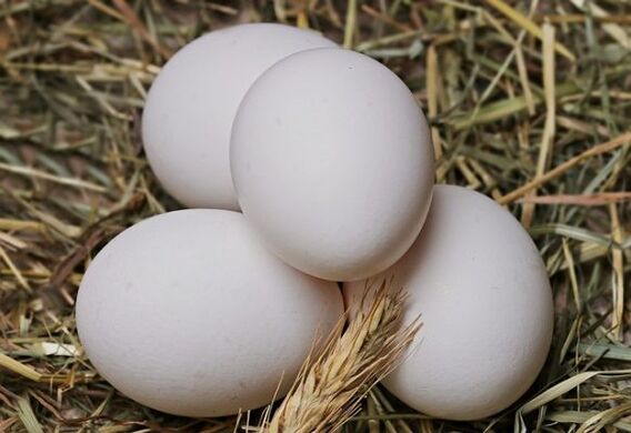 The egg diet involves eating chicken eggs every day. 